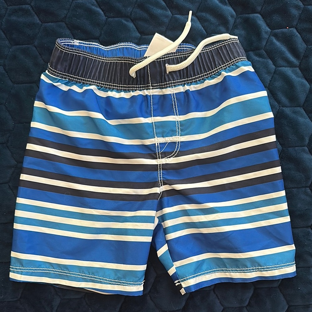 Blue Striped Swim Shorts